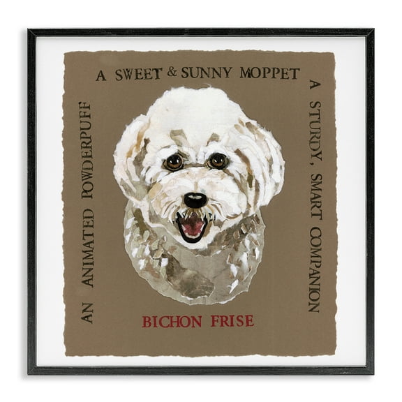 Stupell Industries Fun Bichon Frise Phrases Animals Painting Black Framed Art Print Wall Art, 12 x 12