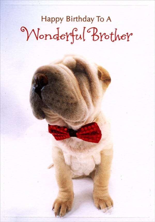 Designer Greetings Wrinkled Dog with Red Bow Tie Birthday Card for