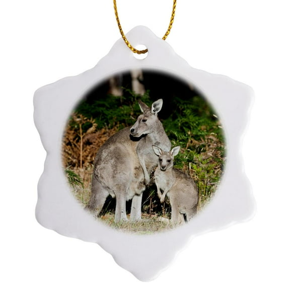 3drose, Eastern Grey Kangaroo, Australia - Au01 Mzw0234 - Martin Zwick, 3 inch Snowflake Porcelain Ornament
