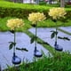 thumbnail image 3 of Lámpara solar LED de crisantemo para jardín, iluminación exterior con flores artificiales, lámpara decorativa floral para jardín, iluminación exterior, luces decorativas para jardín, luces, 3 of 8