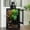 Black, variant on ToxiRium 12x12x18Inch Hybrid PVC Reptile Cage, Ventilated Enclosure with Interchangeable Acrylic & Mesh Doors, Easy Assembly Habitat for Gecko, Chameleon, Snake, Frog