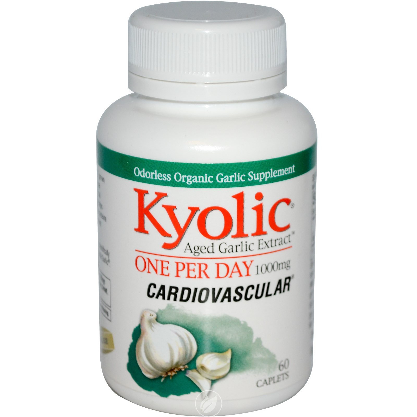 (2 Pack) Kyolic, Aged Garlic Extract, One Per Day, Cardiovascular, 1000