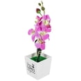 thumbnail image 4 of Artificial polilla orquídea Bonsai decoración escritorio imitación flor en maceta planta en maceta simulada, 4 of 5