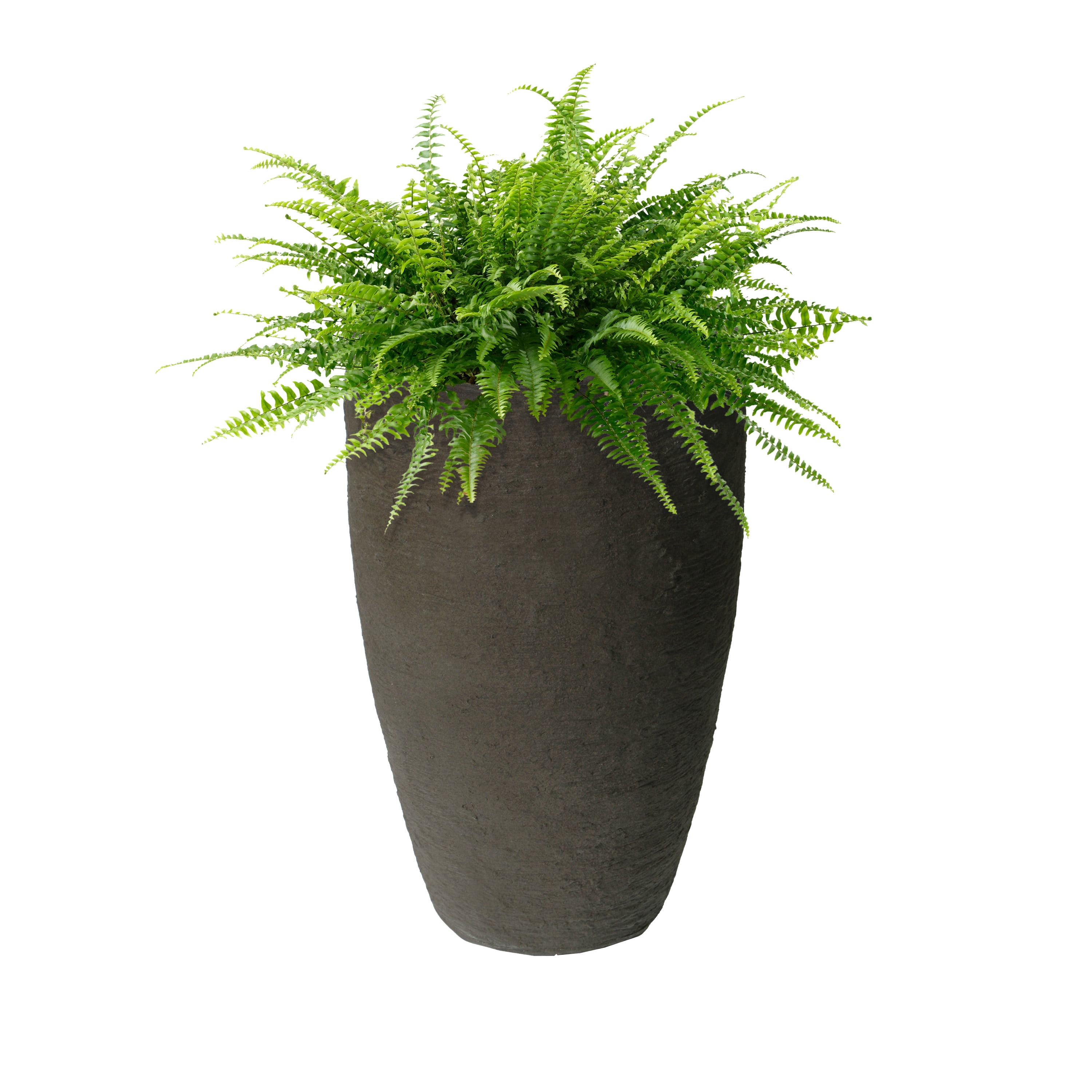 Algreen Products 87311 Athena Self-Watering Flower Pot and Planter, Brownstone