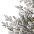 thumbnail image 4 of Nearly Natural 4' Green Fraser Fir Flocked Artificial Christmas Tree Prelit 300 Warm White Lights, 4 of 7