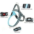 thumbnail image 6 of Mosey Beautiful Pet Chest Strap Inclusive   for Outdoor   Comfortable, 6 of 7