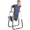 thumbnail image 2 of Ultimate Body Press DB Home Exercise Equipment Dip Bar Fitness Station, 2 of 8