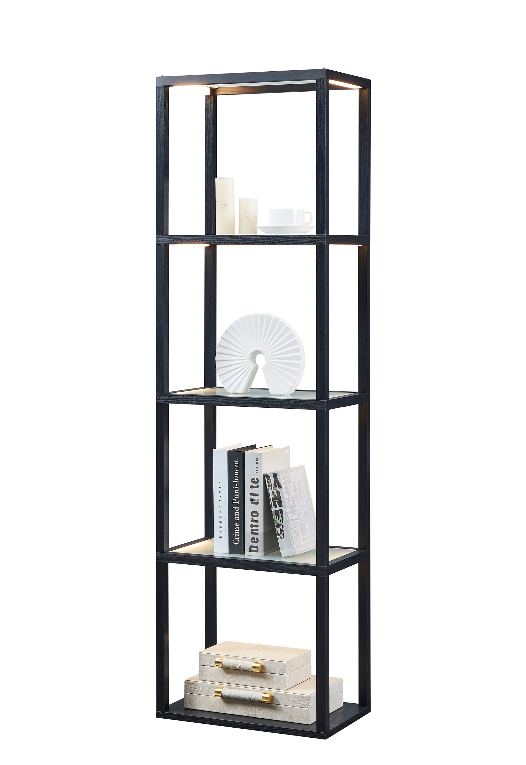 FENLO Fantasy Plus Glass Display Shelves with Dimmable LED Lights, Display  Cabinet for Bedroom, Black, 66