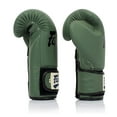 thumbnail image 5 of Fairtex BGV11 F Day Muay Thai Boxing Glove, 5 of 5