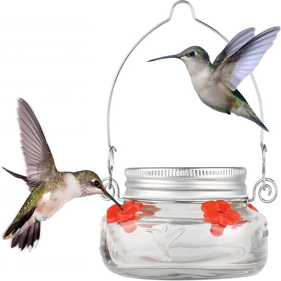 ACDANC Nature' Way Mason Jar Hummingbird Dish Feeder, Clear