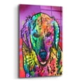thumbnail image 2 of Epic Art 'Luvin Retriever' by Dean Russo Studios, Acrylic Glass Wall Art, 12"x16", 2 of 8