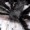 thumbnail image 3 of Decoraciones de Halloween: telaraña triangular gigante de 16 pies/5 m y accesorio de araña de pelo falso, 3 of 3
