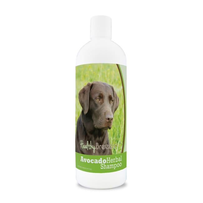 labrador shampoo