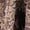 Brown, variant on Women's Brown Floral Print Smocked Maxi Dress – Bohemian Style for Spring & Summer, XL