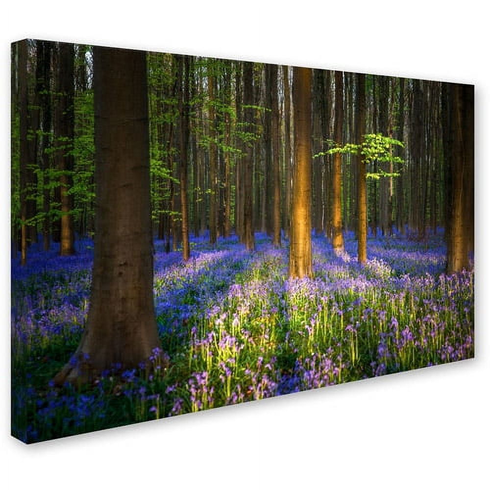 Trademark Fine Art "Mystical Forest" Canvas Art by Mathieu Rivrin