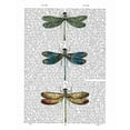 thumbnail image 2 of Fab Funky 20x24 White Modern Wood Framed Museum Art Print Titled - Dragonflies Print 1, 2 of 4