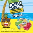 thumbnail image 4 of JOLLY RANCHER Tropical Hard Candy, 198 g, 4 of 8
