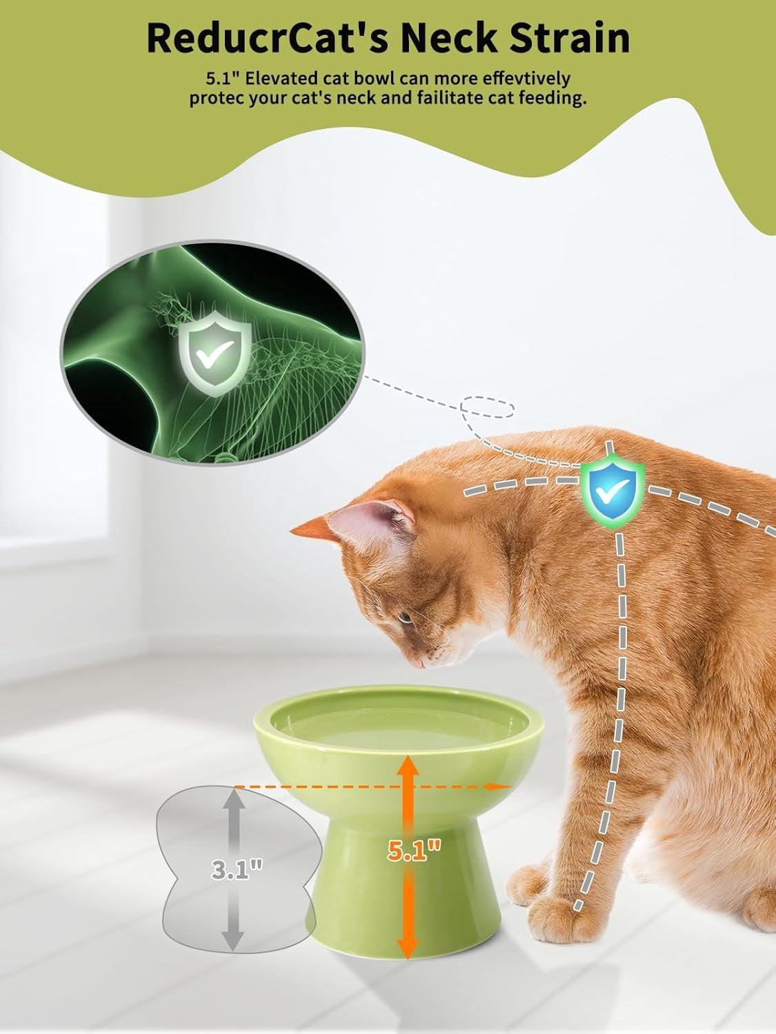 Elevated Green  Bowls Set - Wide Raised Ceramic Feeder, Anti-Vomit -Free Bowl for Kittens to Adult Cats