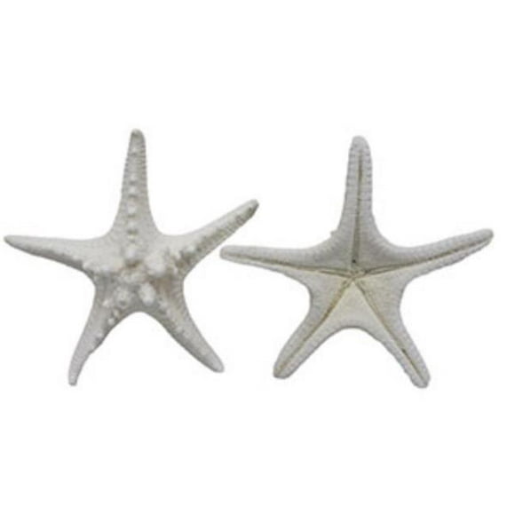 U.S. Shell 08025 Armoured Starfish, White - 2 Piece