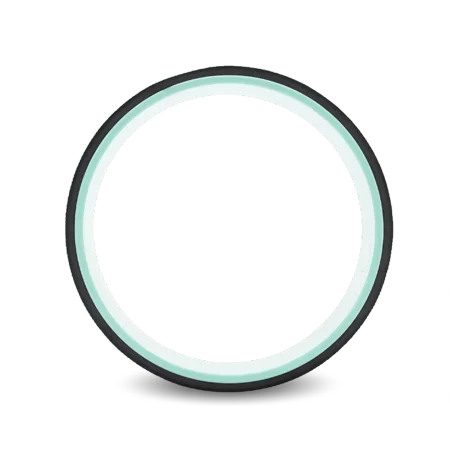 Chirp - Wheel+ 12" Gentle - Mint