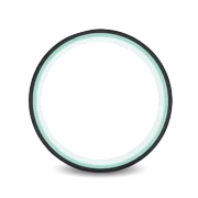 Chirp Wheel Plus 12 - DTC