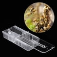 thumbnail image 4 of Jaula para abejas, 10 piezas de plástico, equipo de cría de apicultura, herramienta, taza de cría de abejas, rendimiento de primer nivel, 4 of 8