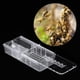 thumbnail image 4 of Kit de vasos de plástico para cría de apicultura, jaulas para reina de abejas, herramientas de equipo para apicultor, 10 Uds., 4 of 8