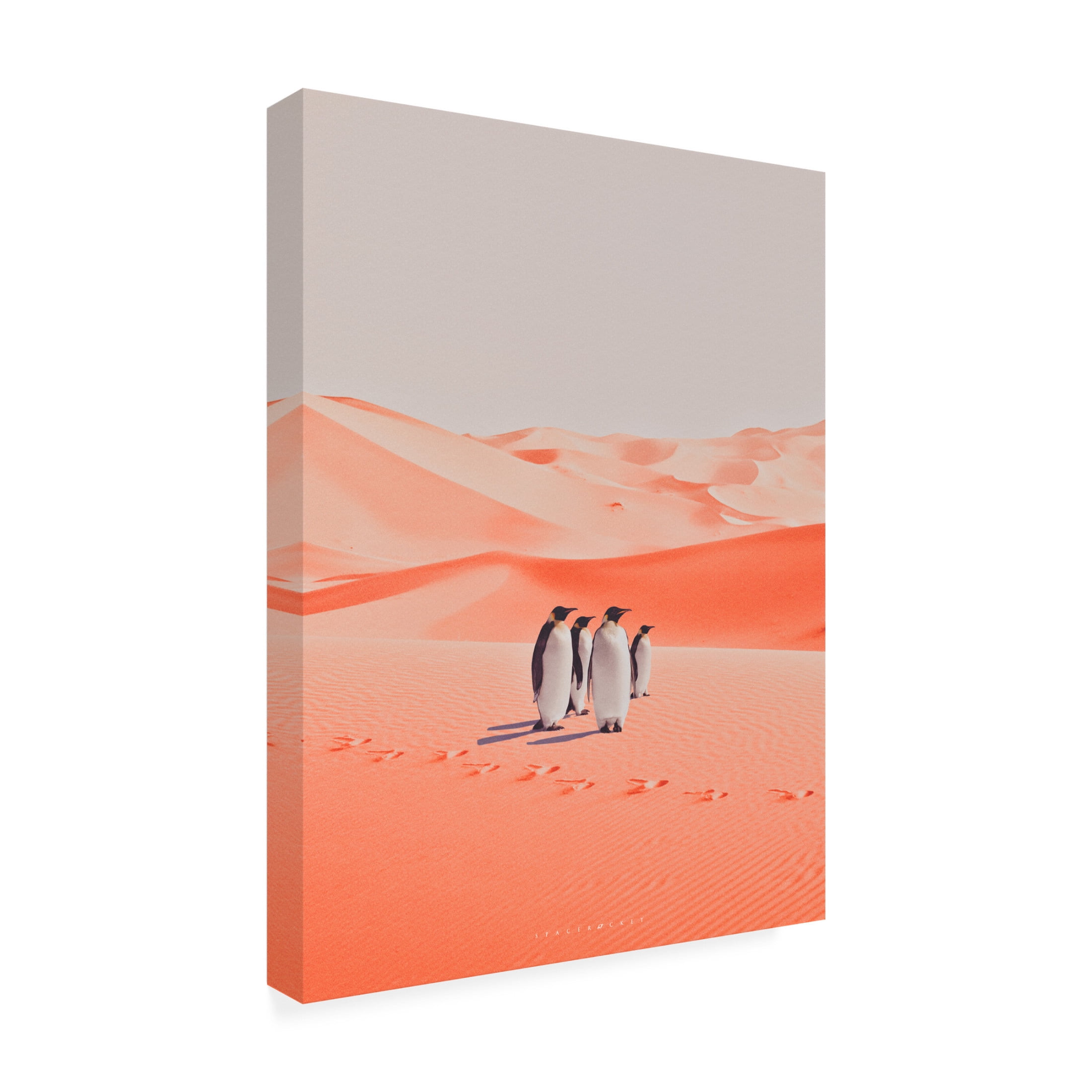 Trademark Fine Art spacerocket art 254 Canvas Wall Art