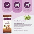 thumbnail image 5 of Amber NaturalZ Numo Care Lung Health for Dogs | For Bronchial & Respiratory Lung Health 1oz, 5 of 6