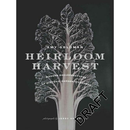 Heirloom Harvest: Modern Daguerreotypes of Historic Garden Treasures