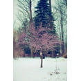 thumbnail image 2 of Poynter, Kelly 17x24 Black Ornate Wood Framed with Double Matting Museum Art Print Titled - Winter Berries III, 2 of 4
