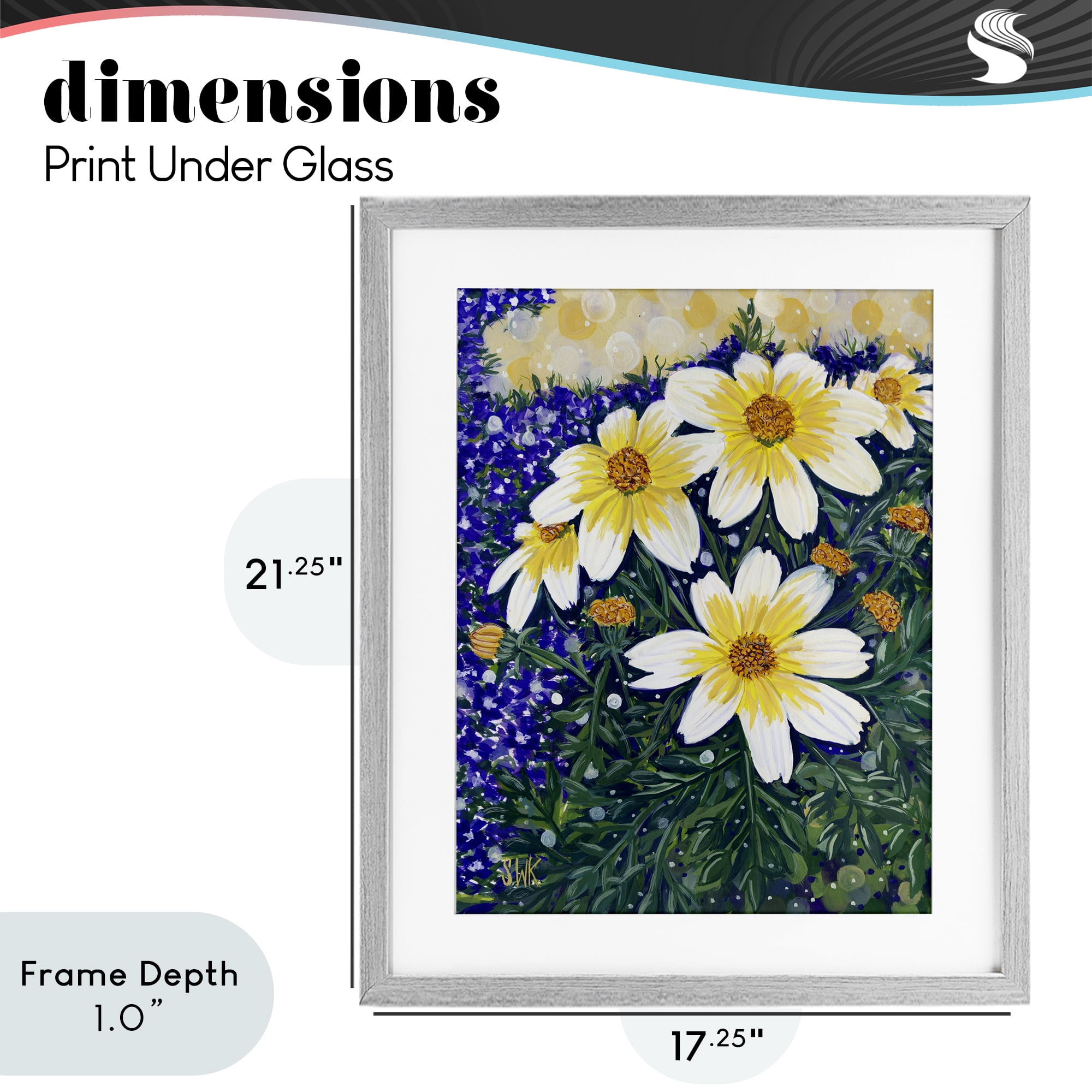 Stupell Industries Summer Garden Cosmos Gray Framed Print Under Glass, design by Sarah Waldron Kimball