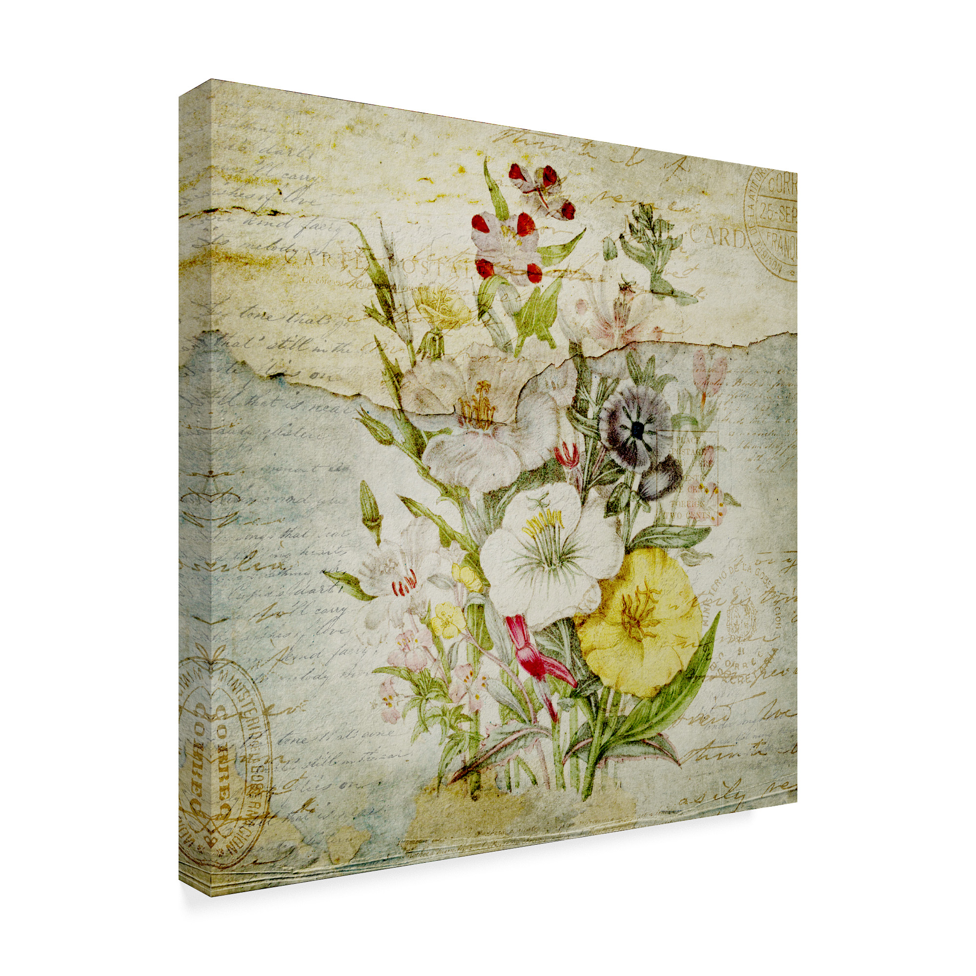 Trademark Fine Art 'Flower Print Grunge 3' Canvas Art by Marcee Duggar