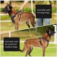 thumbnail image 6 of Katieovy Dog Harness and Dog Leash Set,Reflective No Pull Dog Harness for Small Dog,Mesh Adjustable Dog Harness with Dog Poop Bag Holder,Black, 6 of 7
