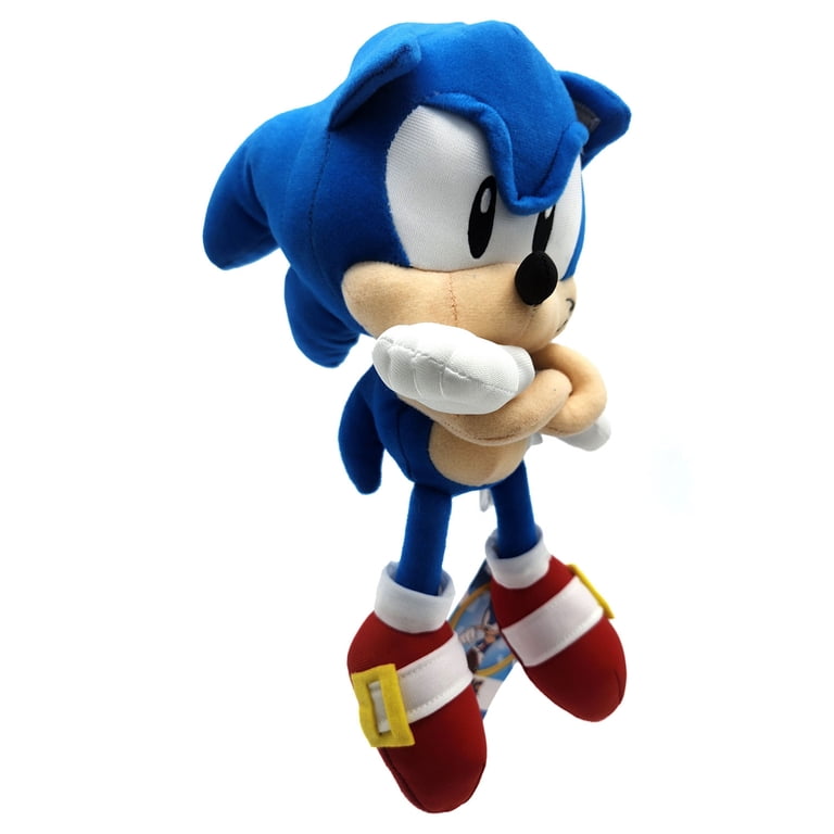 Sonic Arm Crossing - Sonic The Hedgehog 10