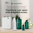 thumbnail image 5 of AromaPlan Santal Diffuser Oil, 5 fl oz (148ml) - Woody Musk Character, Natural & Vegan, 5 of 5