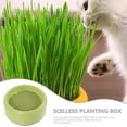 thumbnail image 3 of LOLIPPYY Hydroponic Cat Grass Planter with Water Tray for Easy Growing, Indoor Container, 3 of 8