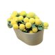 thumbnail image 5 of Mini planta artificial en maceta, accesorios para casa de muñecas, decoración, modelo de bonsái en miniatura para decoraciones de jardín a escala 1:6 Amarillo, 5 of 8