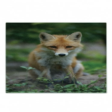 Fox Cutting Board, Young Coyote Photo Leaves in Forest, Decorative Tempered Glass Cutting and Serving Board, in 3 Sizes, by Ambesonne