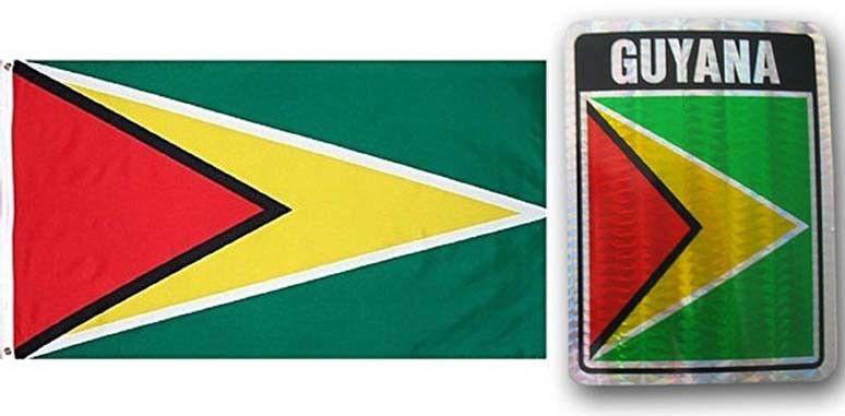USA American & Guyana Country Flag Banner 2 Pack 3x5 3’x5’ Wholesale Set 