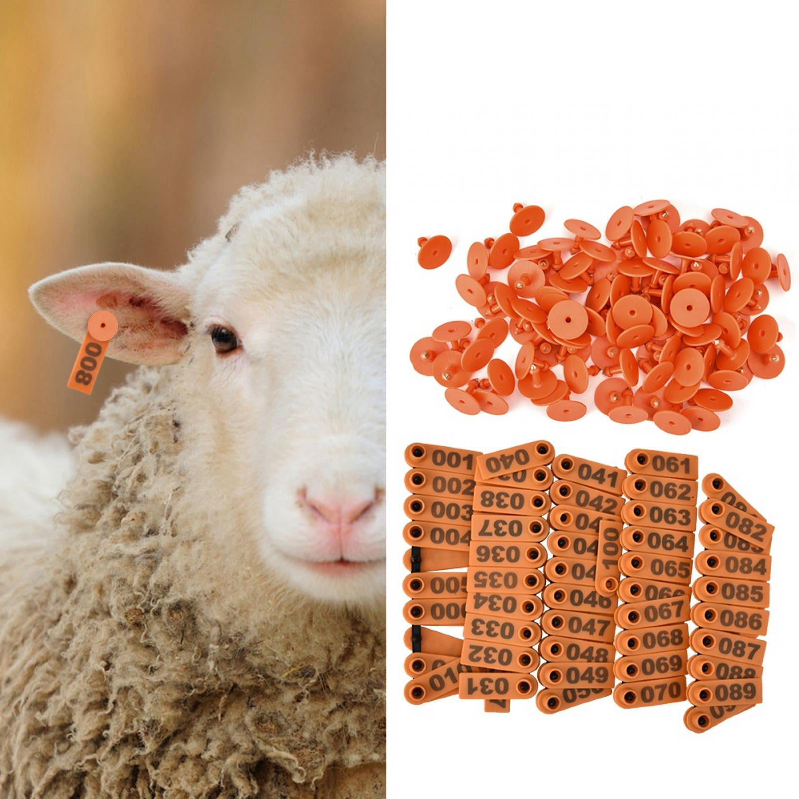 100 Sets Orange 1-100 Number Plastic Livestock Ear Tag For Goat Sheep Pig 