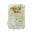 thumbnail image 1 of kurtrusly Dried Flower Plants Dry Making Candle DIY Handmade Home Wedding Decoration Epoxy Necklace Jewelry Ring Accessory type1, 1 of 7