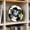 B, variant on 6 Inch Sports Ball Photo Frames - Football, Soccer, Volleyball Themed Tabletop Picture Frames for Kids, Sports Fans & Home Decor