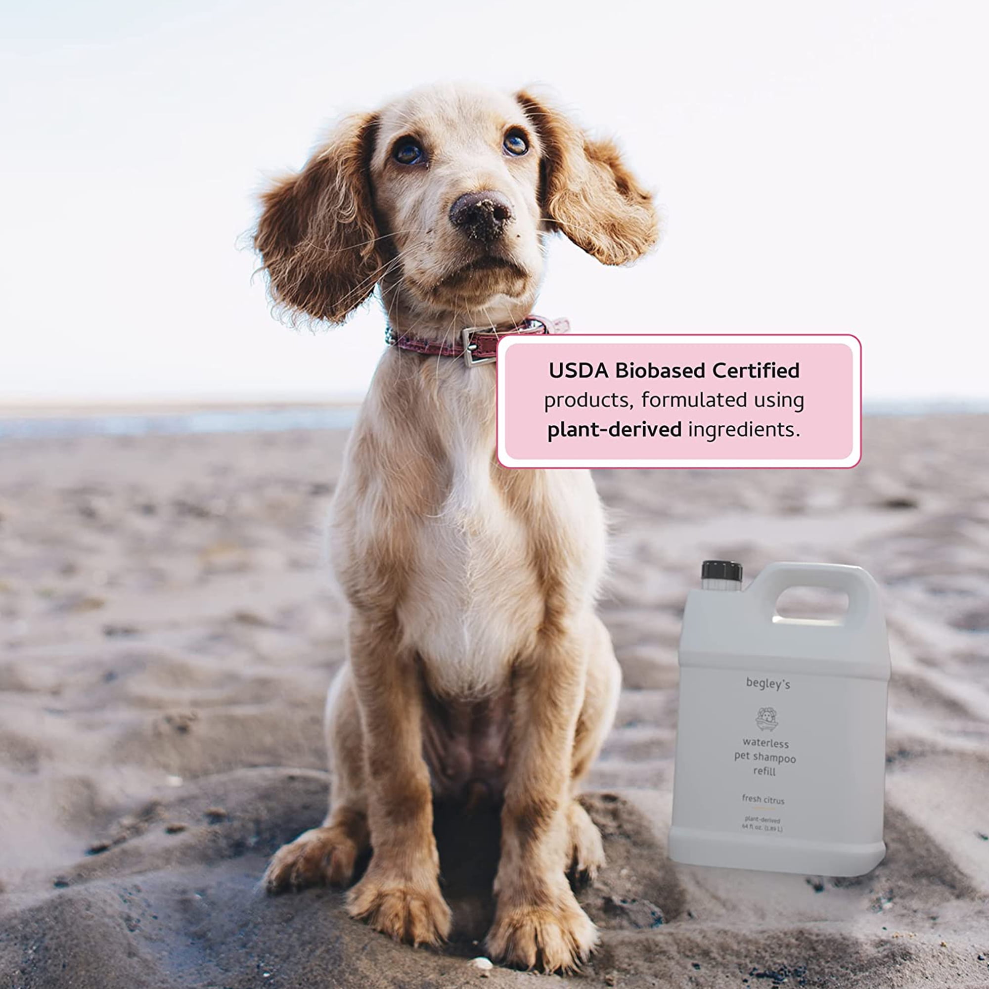 Walmart waterless top dog shampoo