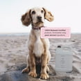 thumbnail image 2 of Begley’s Waterless Pet Shampoo Refill No Rinse Deodorizer 64Oz, Citrus, 2 of 7