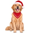 thumbnail image 2 of Goodw7 Christmas Pet Bandana Scarf, Satin Drool Bib for Dogs and Cats with Soft Smooth Texture, Holiday Accessory for Holiday Cards and Family Gatherings, 2 of 7