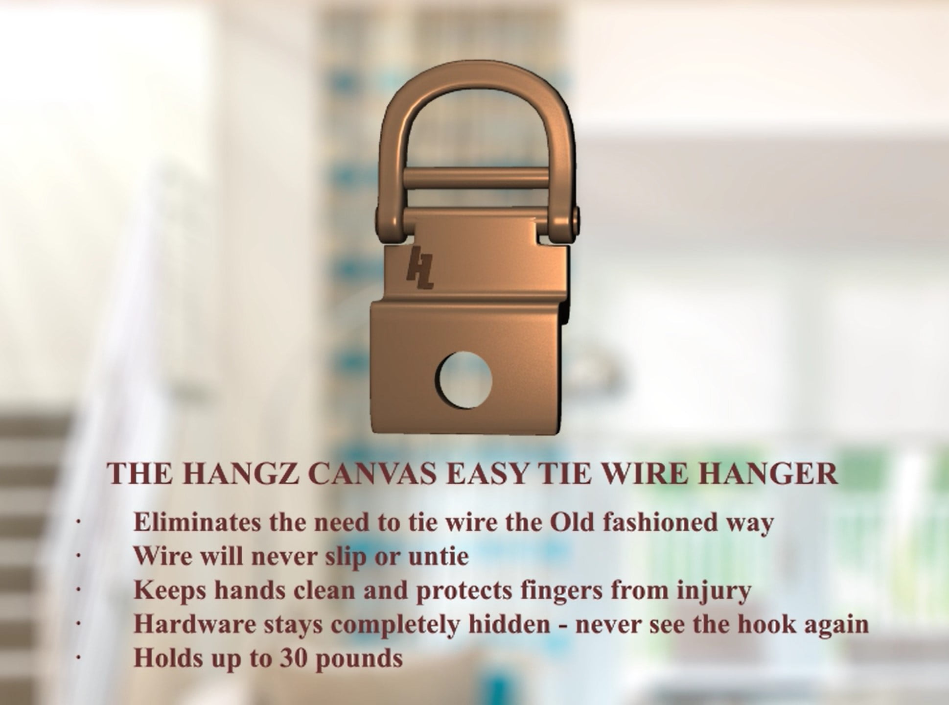 HangZ 10001B Canvas Wire 25lb 1 Hole D Ring (50-pack)