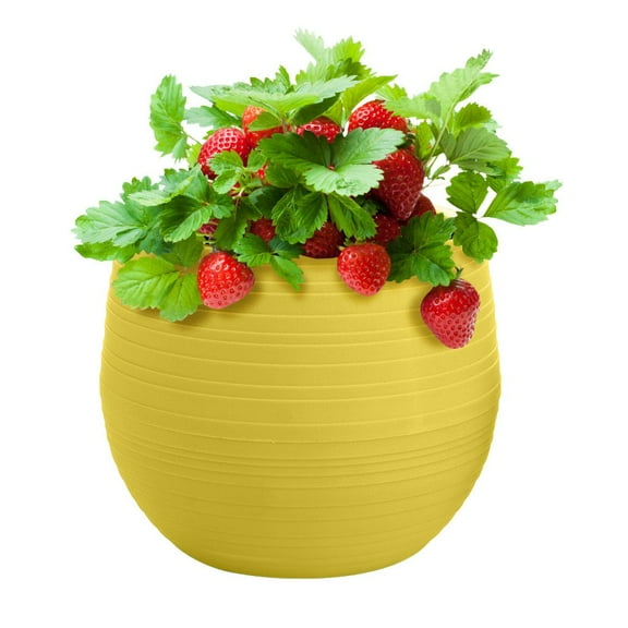 2026 Mini Round Plastic Flower Pot – 10cm Colorful Planter for Succulents, Herbs & Indoor Desk Plants, Yellow (PVC)