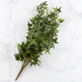 thumbnail image 3 of 2 Fake Ivy Bushes - for Floral Work and Decor - Factory Direct Craft, 3 of 5