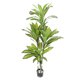 thumbnail image 1 of Planta Artificial Dracaena, Plantas Falsas Altas Con Plantilla De Yuca De Seda, Planta De Yuca De Seda Para Decoración De La Sala De Estar De La Oficina, 1 of 7